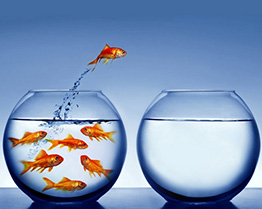 communications training helps you to stand out from the crowd